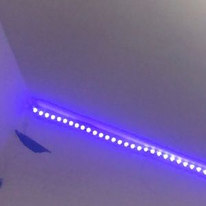 Meet your Posher, Emaline